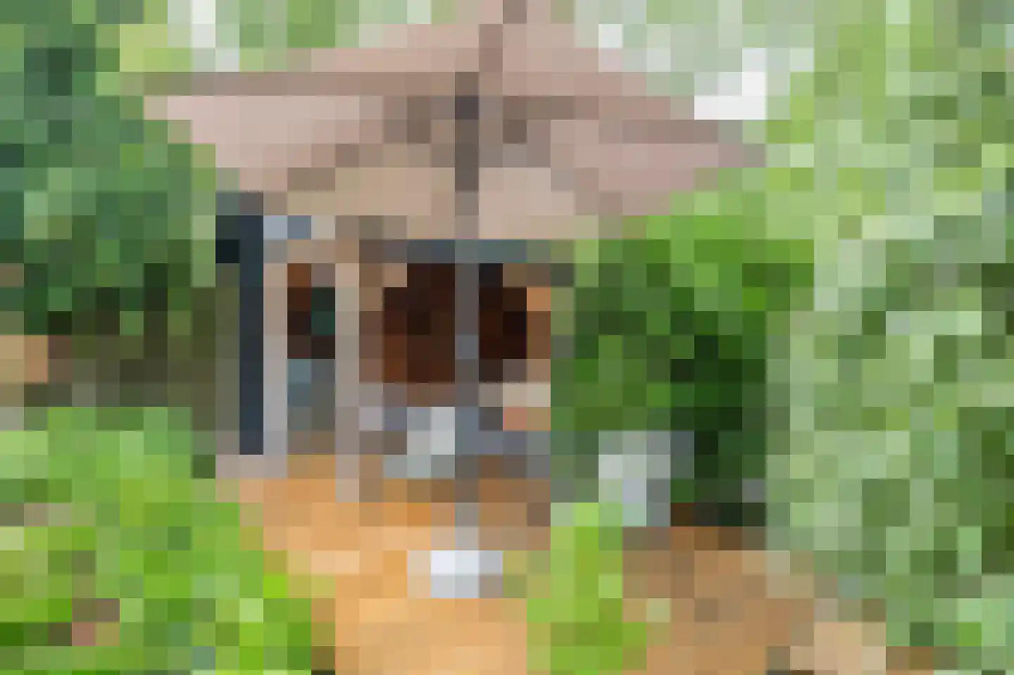 Fint 2 Hardinxveld-Giessendam thumbnail 18