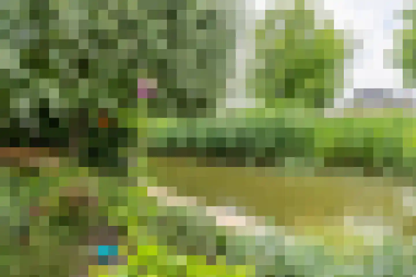 Fint 2 Hardinxveld-Giessendam thumbnail 22