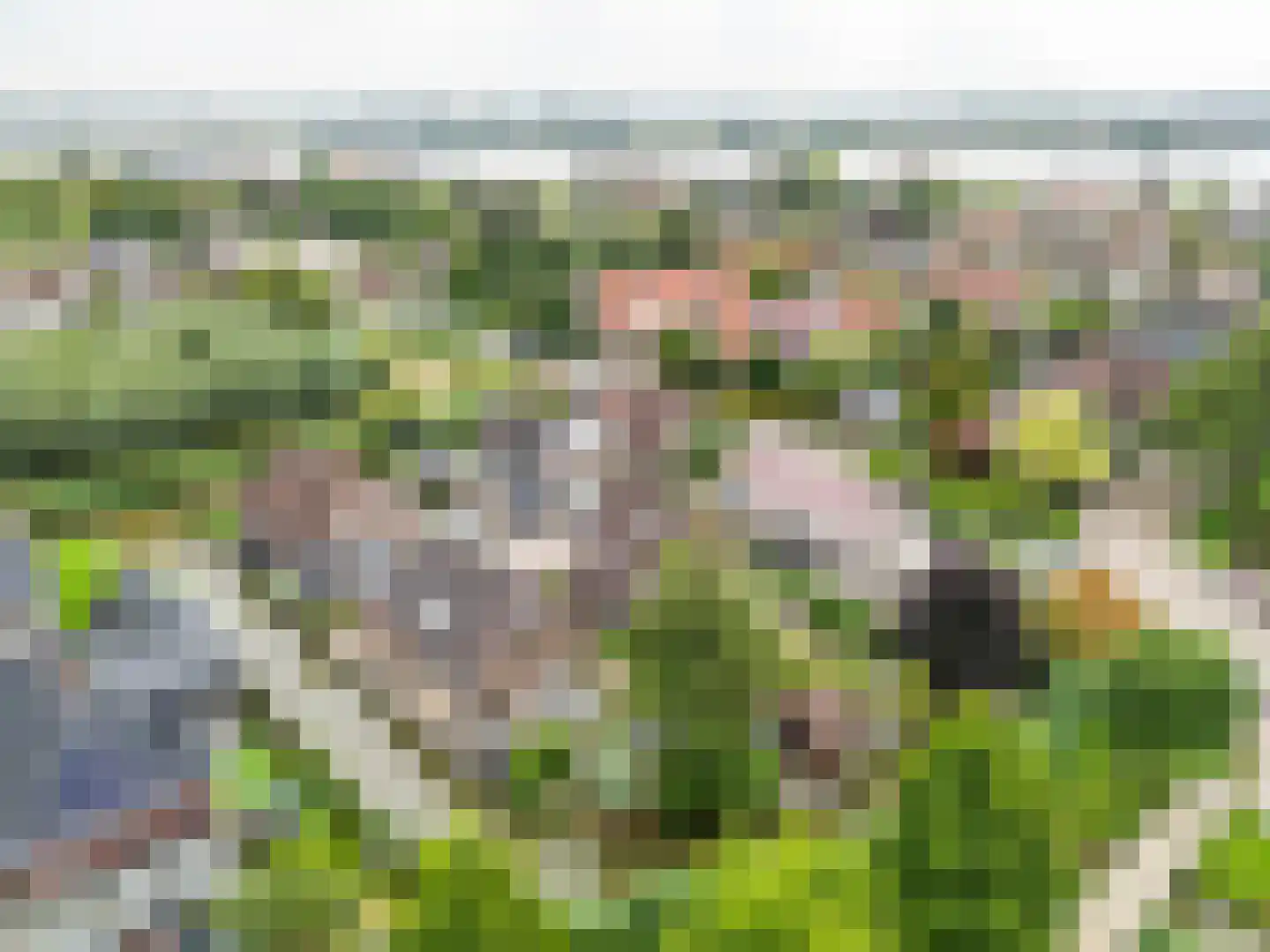 Fint 2 Hardinxveld-Giessendam thumbnail 48