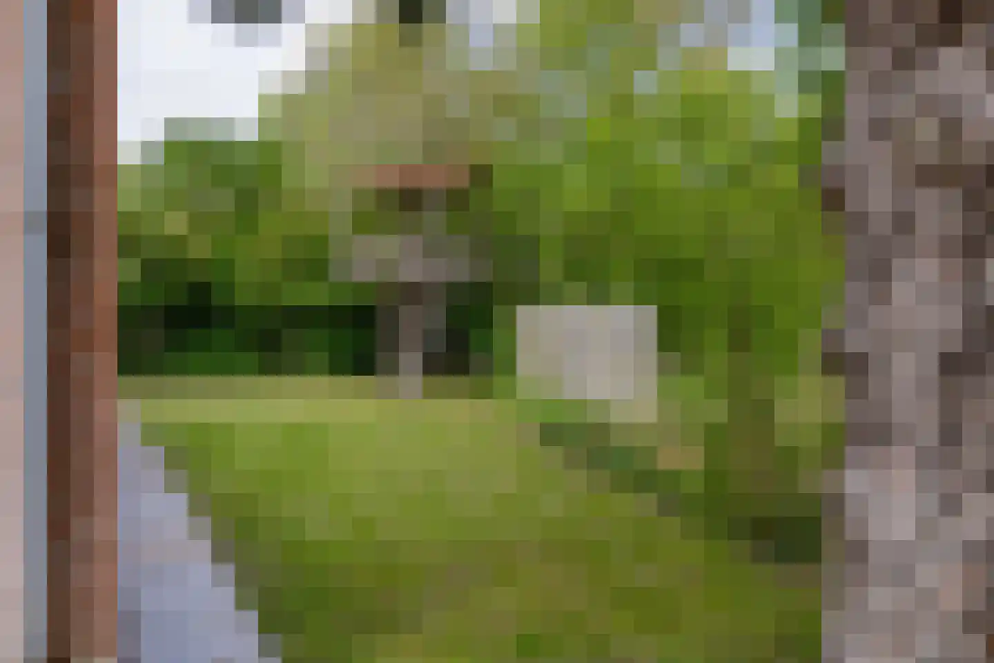Fint 20 Hellevoetsluis thumbnail 11