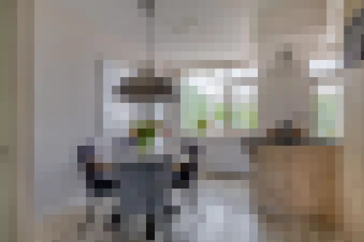 Fint 20 Hellevoetsluis thumbnail 20