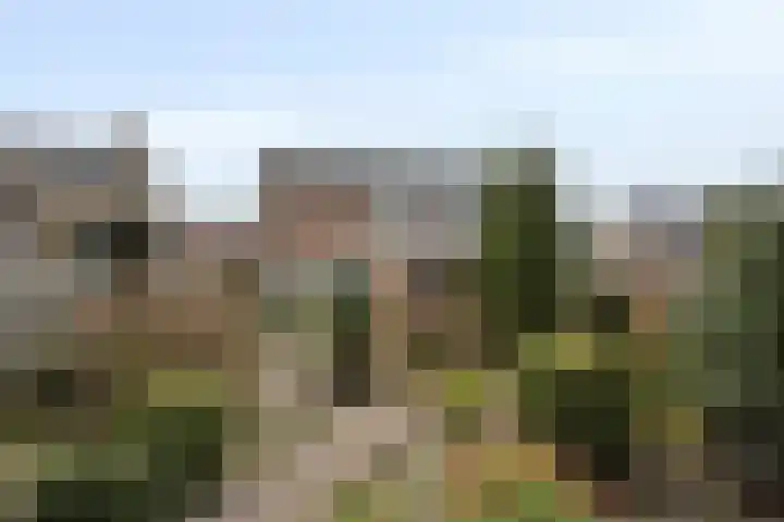 Fintstraat 5 Brakel thumbnail 7