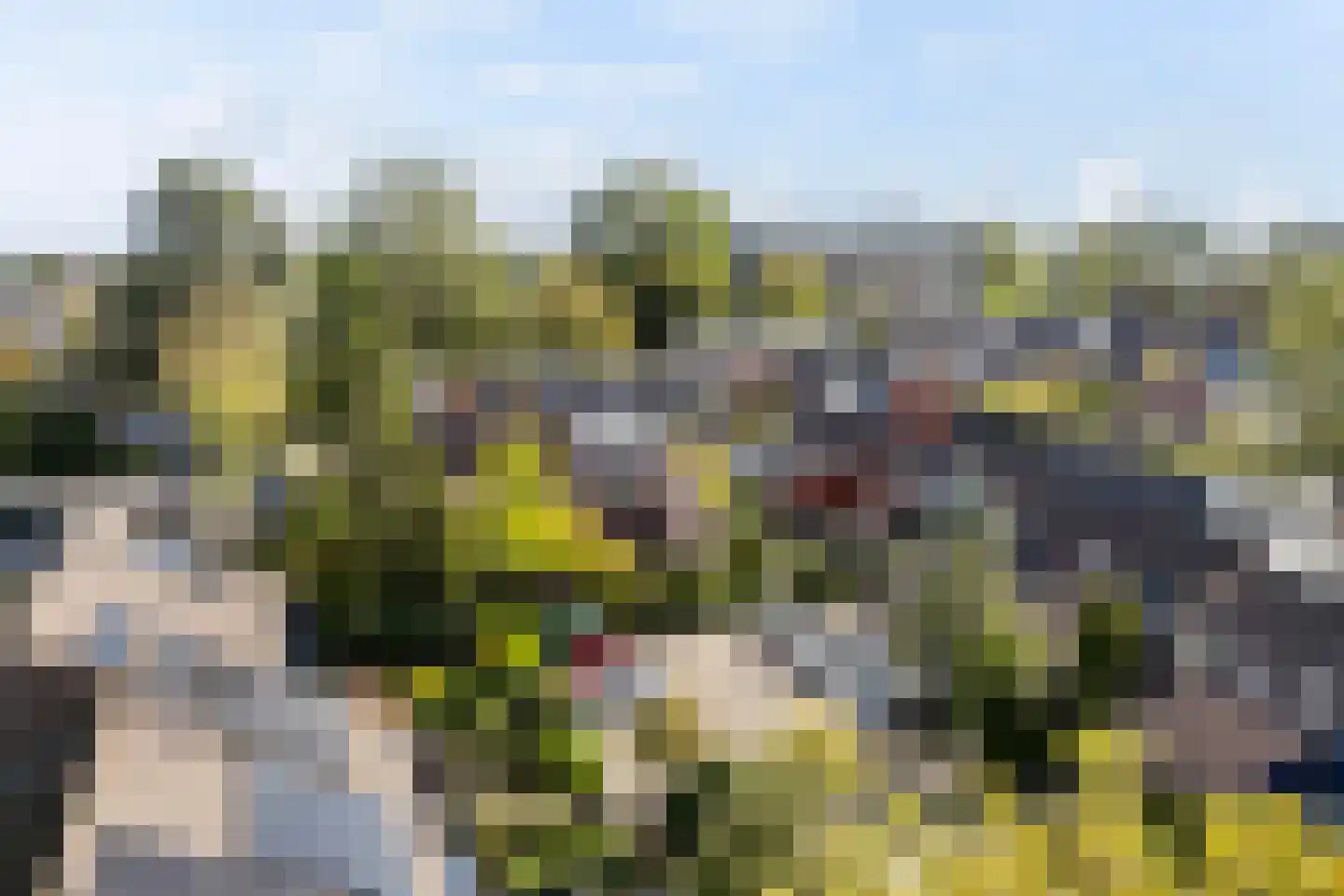 Fioringras 102 Leeuwarden thumbnail 43