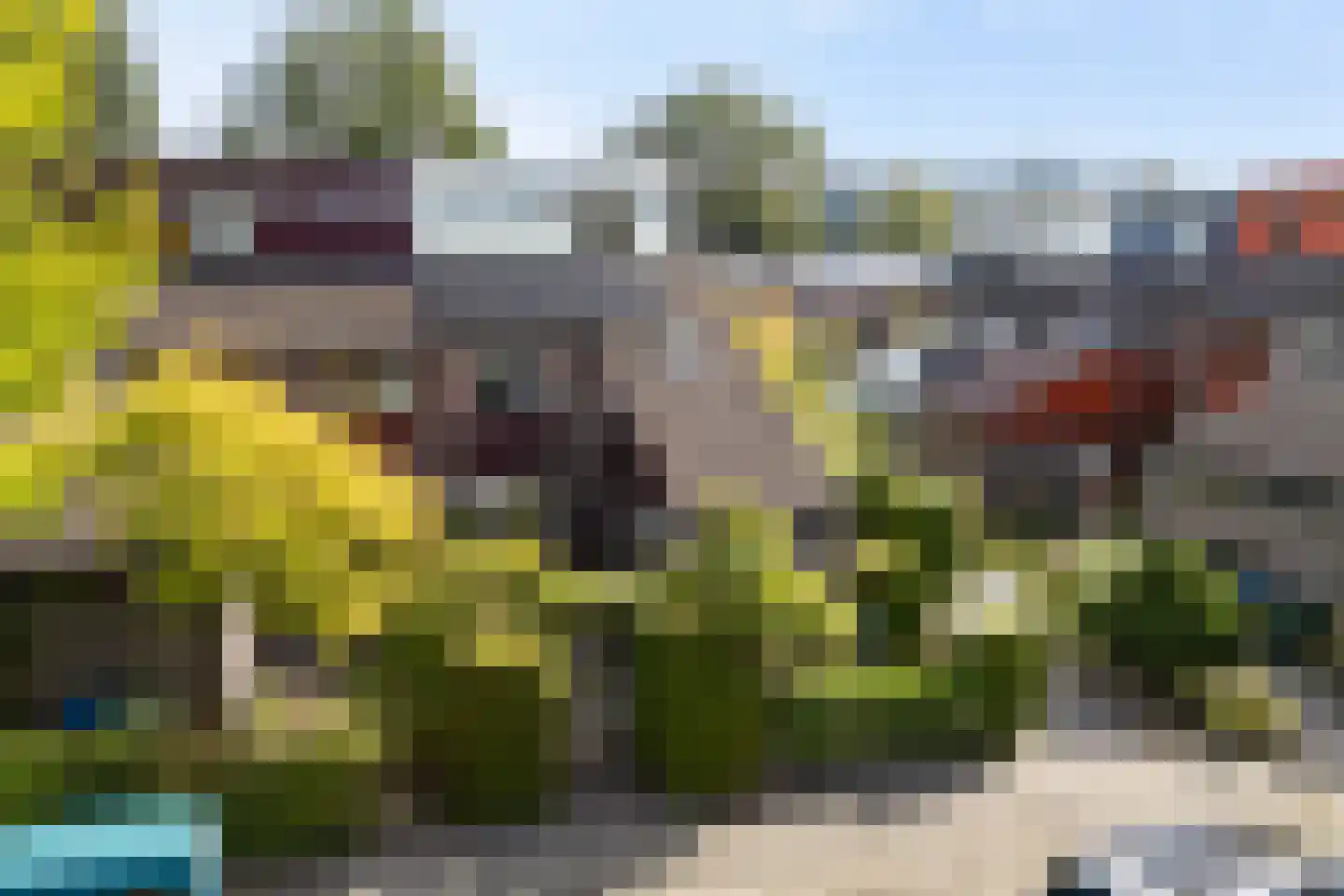Fioringras 102 Leeuwarden thumbnail 5