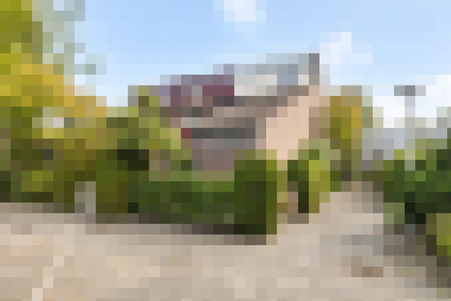 Fioringras 102 Leeuwarden thumbnail 6