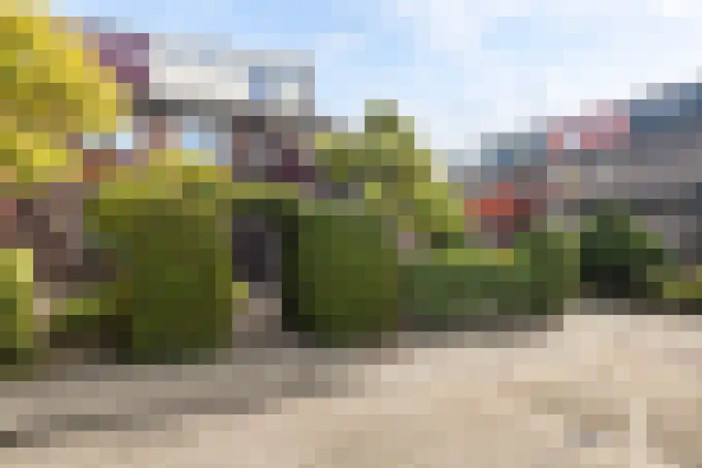 Fioringras 102 Leeuwarden thumbnail 7