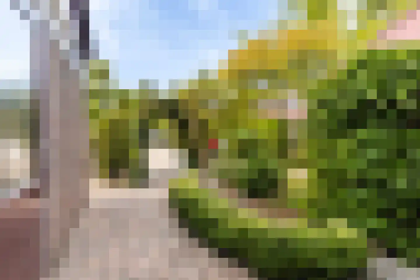 Fioringras 102 Leeuwarden thumbnail 9