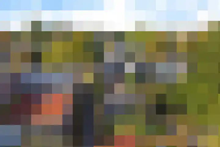 Fioringras 15 Leeuwarden thumbnail 47