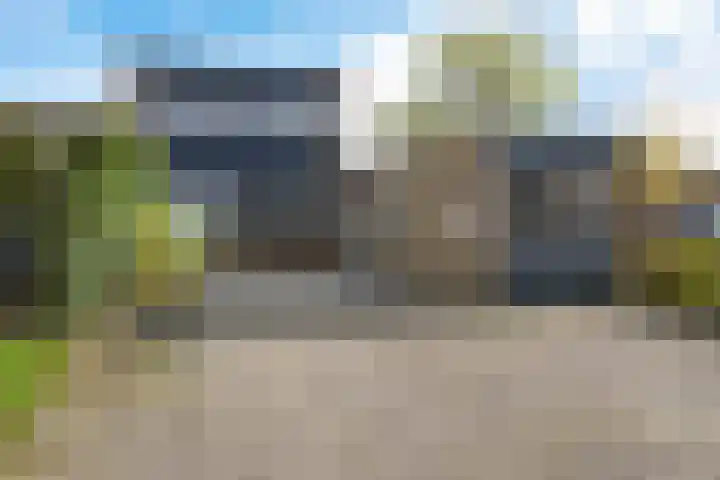 Fioringras 15 Leeuwarden thumbnail 6