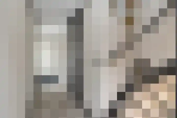 Fioringras 15 Spijkenisse thumbnail 10