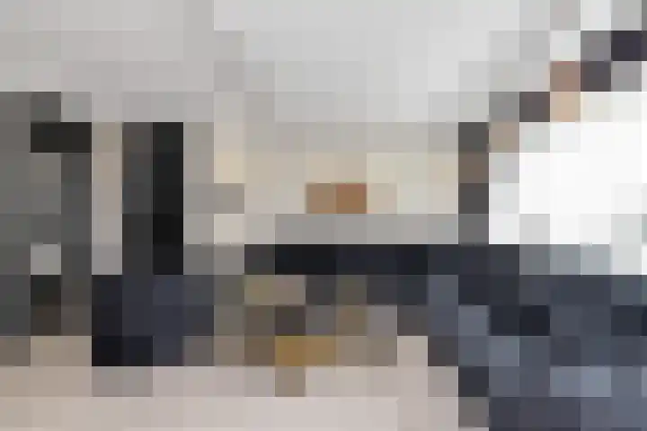 Fioringras 15 Spijkenisse thumbnail 17