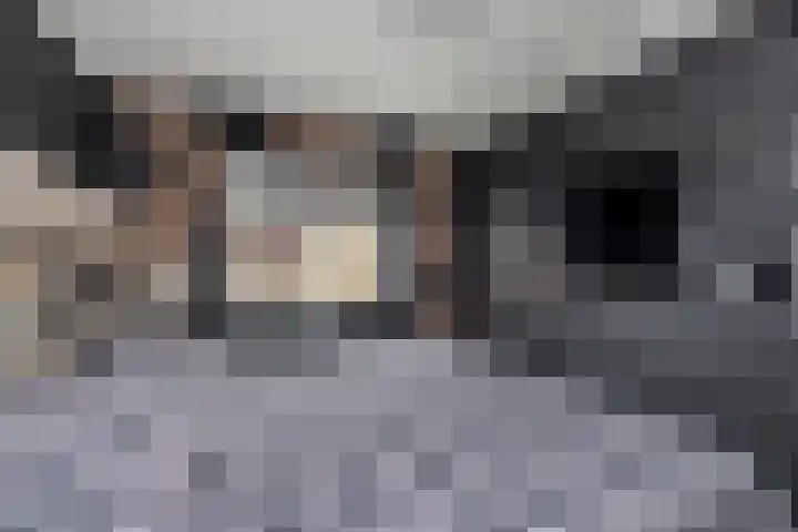 Fioringras 15 Spijkenisse thumbnail 25