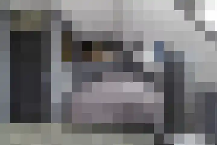 Fioringras 15 Spijkenisse thumbnail 28
