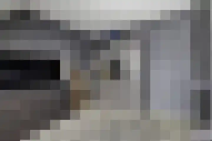 Fioringras 15 Spijkenisse thumbnail 30