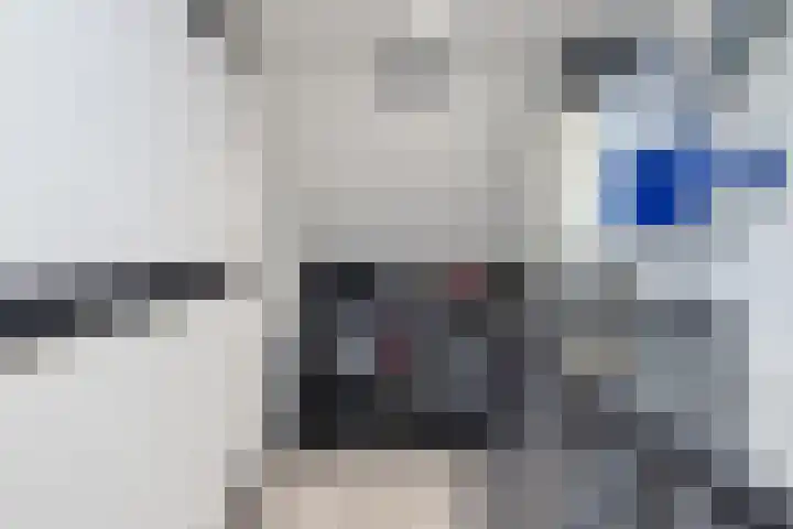 Fioringras 15 Spijkenisse thumbnail 34
