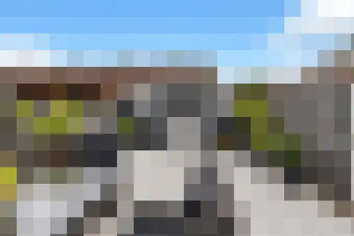 Fioringras 15 Spijkenisse thumbnail 39
