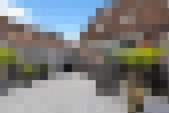 Fioringras 15 Spijkenisse thumbnail 42