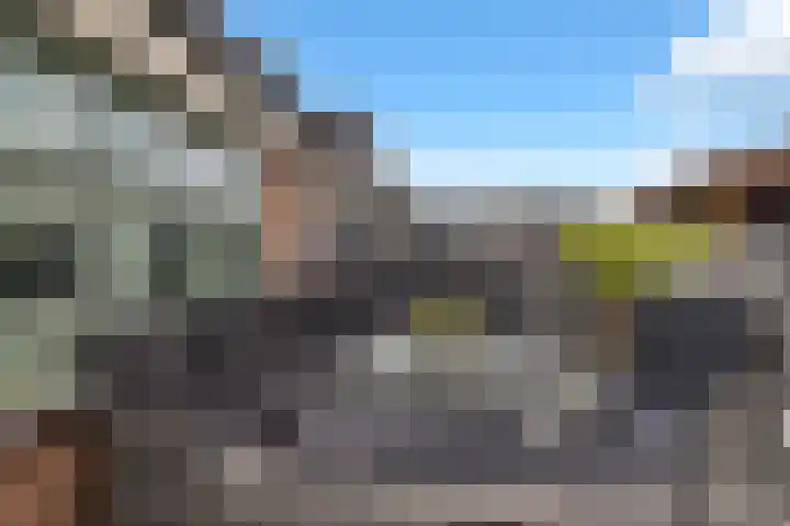 Fioringras 15 Spijkenisse thumbnail 43