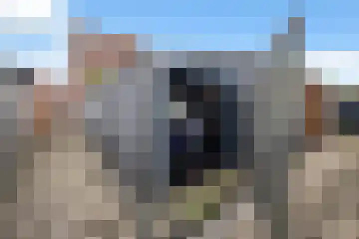 Fioringras 15 Spijkenisse thumbnail 45