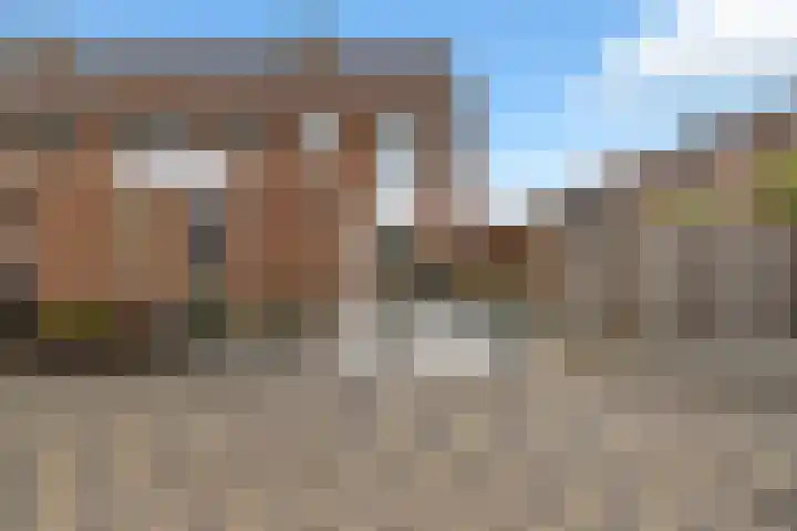 Fioringras 15 Spijkenisse thumbnail 6