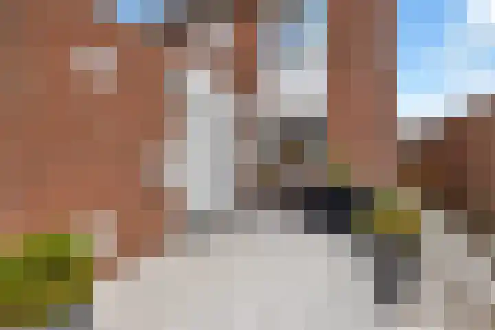 Fioringras 15 Spijkenisse thumbnail 7