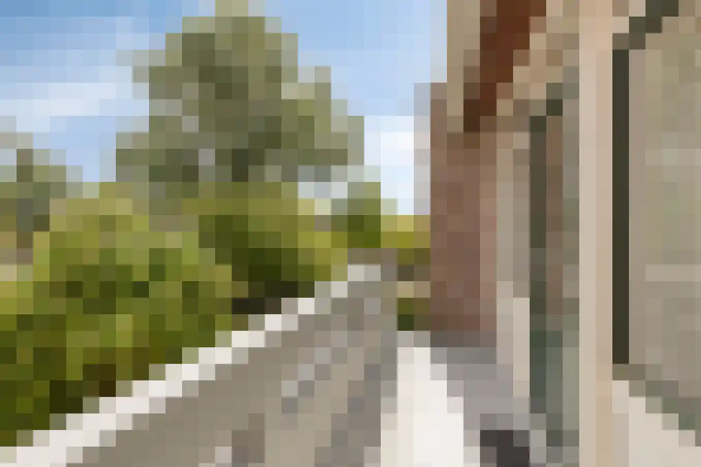 Fioringras 29 Leeuwarden thumbnail 24