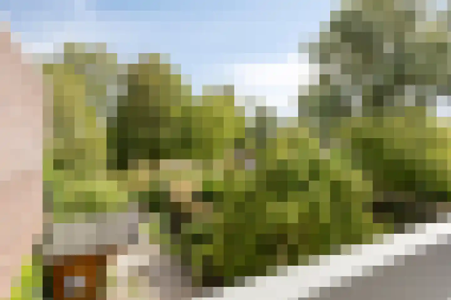 Fioringras 29 Leeuwarden thumbnail 25