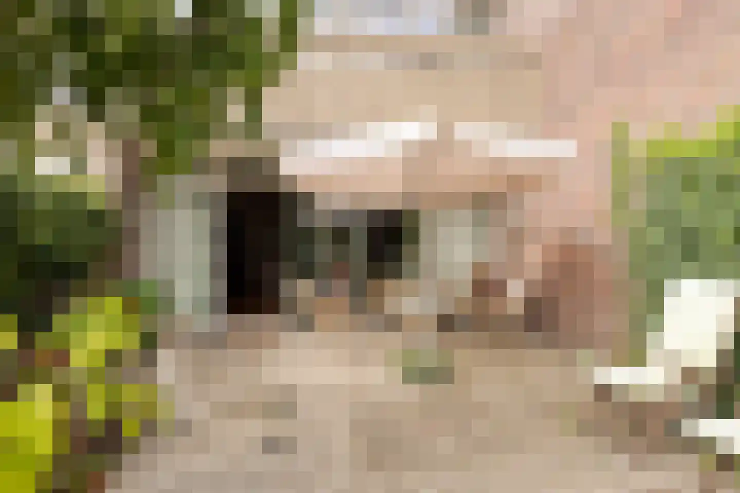 Fioringras 29 Leeuwarden thumbnail 33