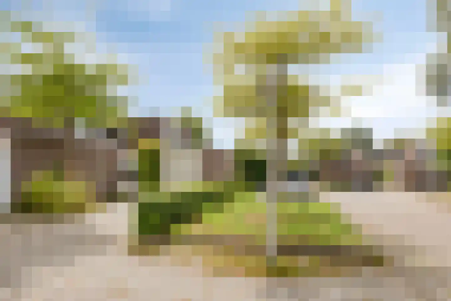 Fioringras 29 Leeuwarden thumbnail 6