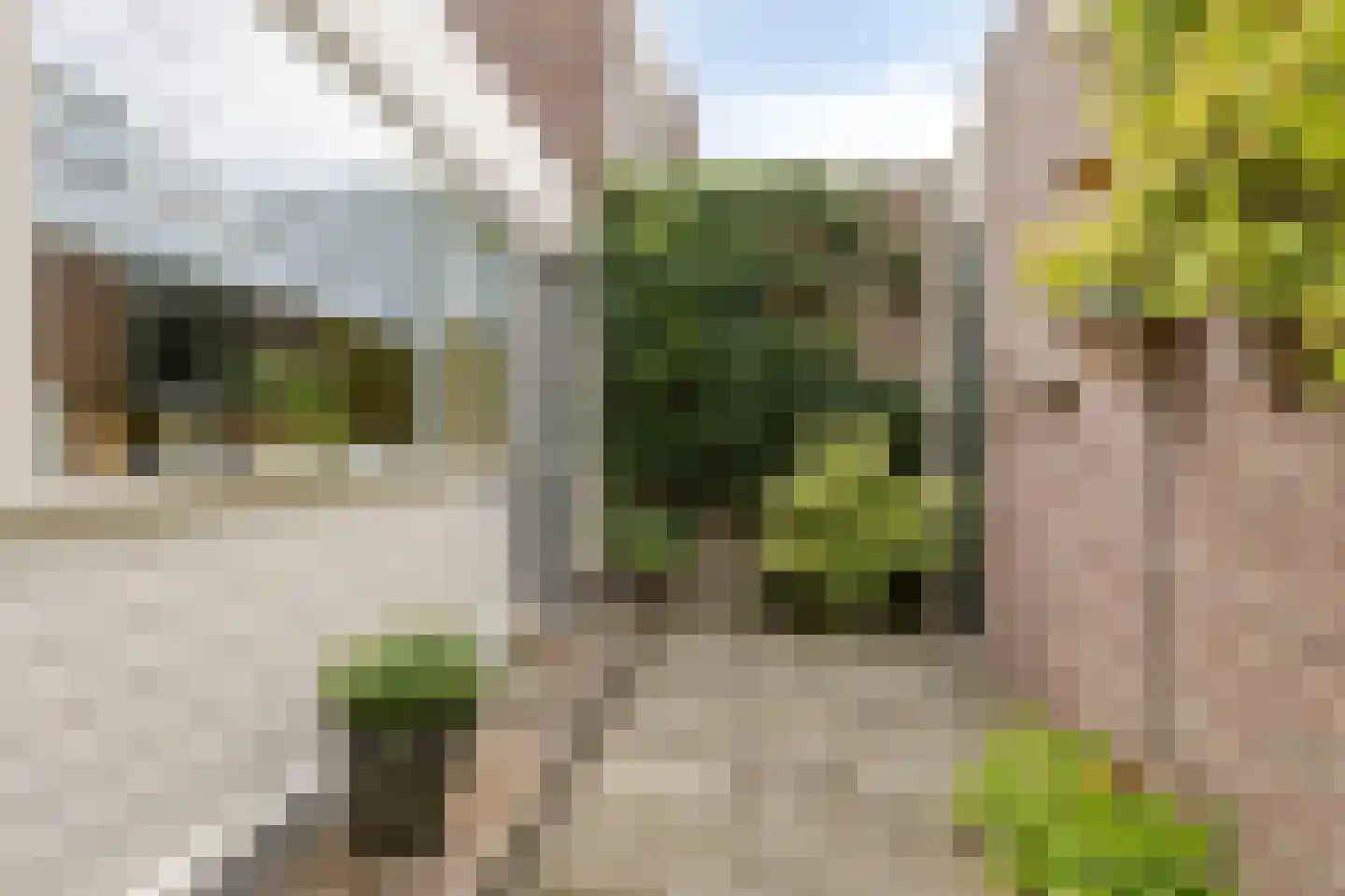 Fioringras 29 Leeuwarden thumbnail 8