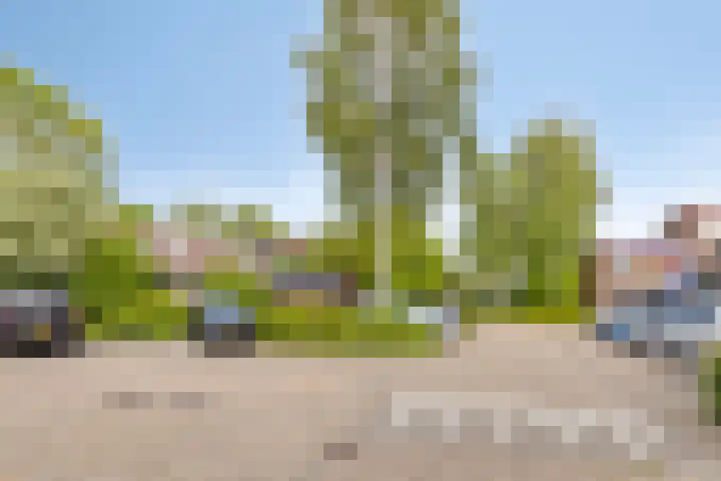 Fioringras 36 Purmerend thumbnail 43