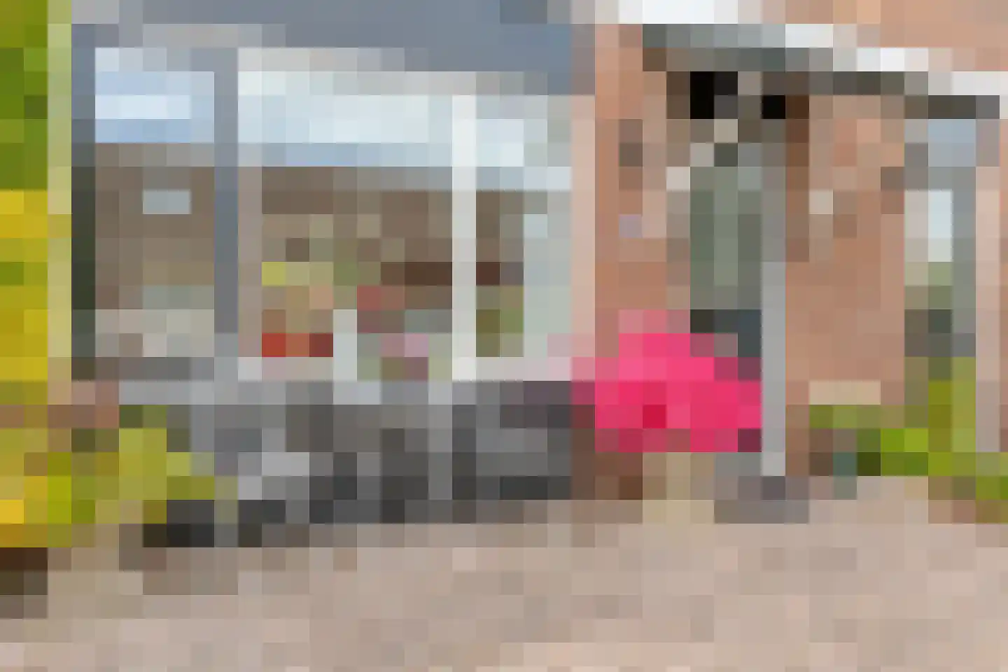Fioringras 36 Purmerend thumbnail 8