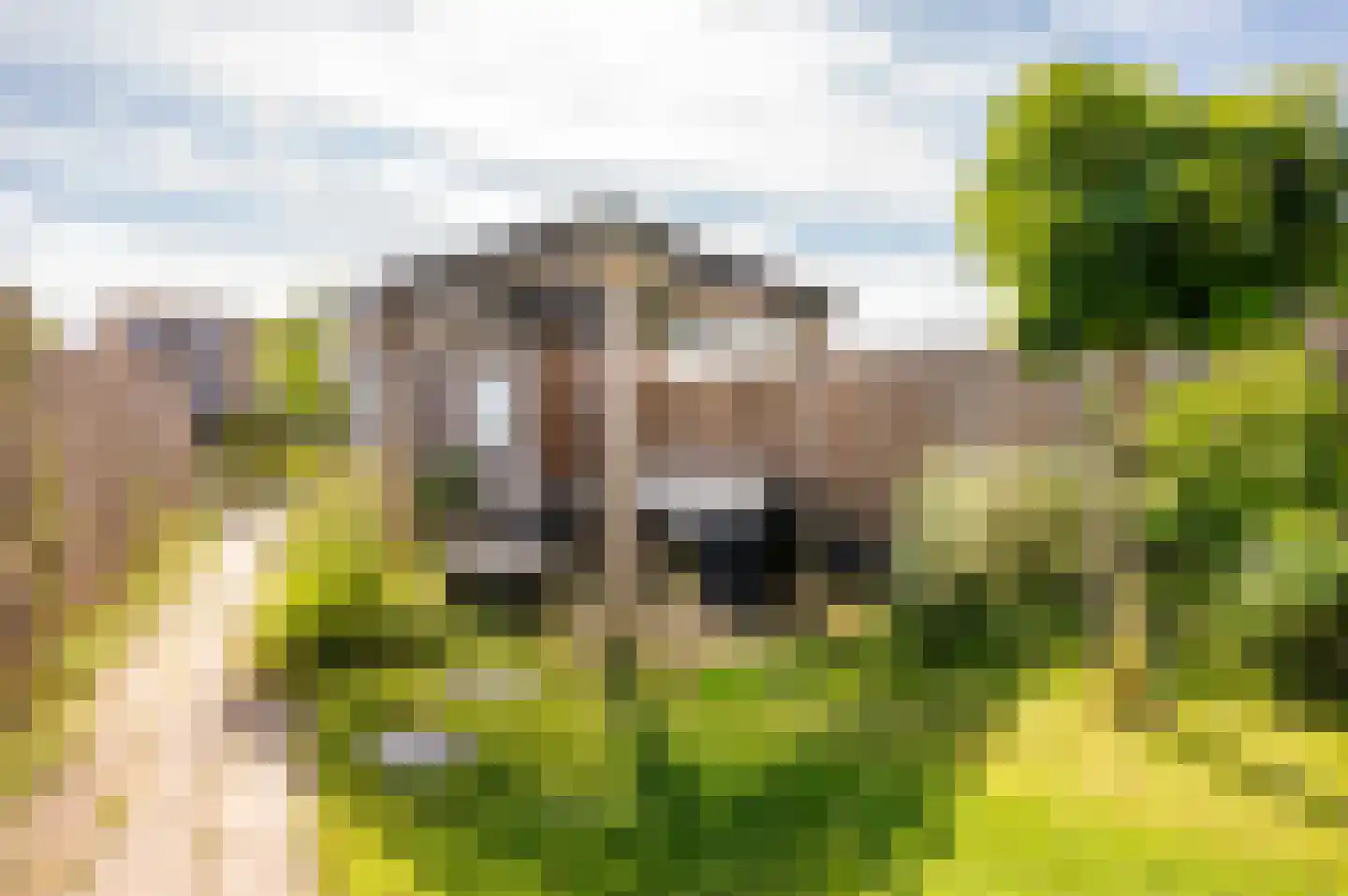 Fioringras 38 Lelystad thumbnail 31