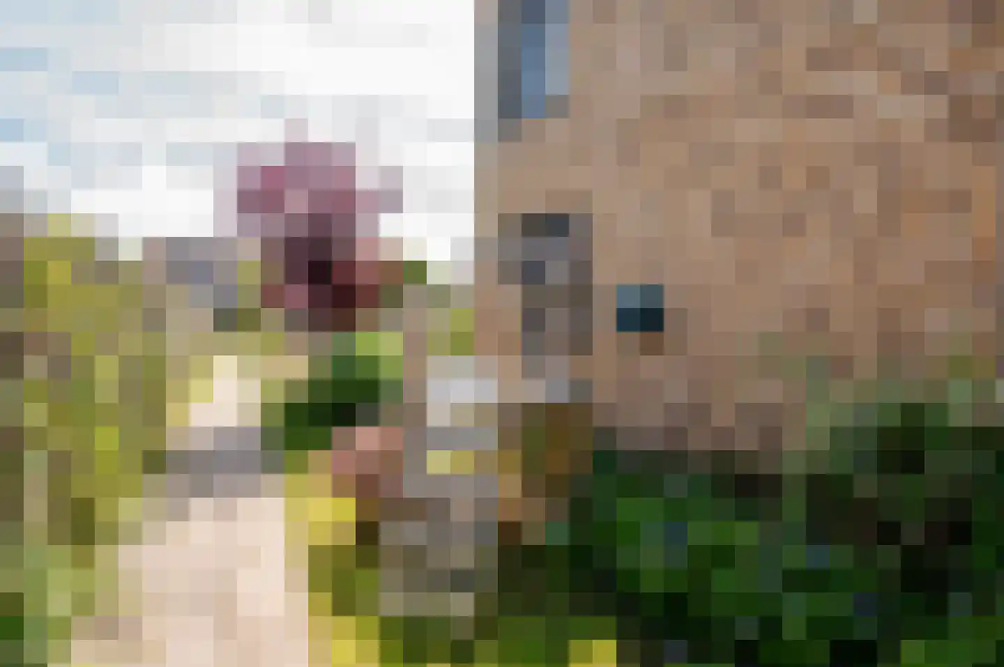 Fioringras 38 Lelystad thumbnail 31