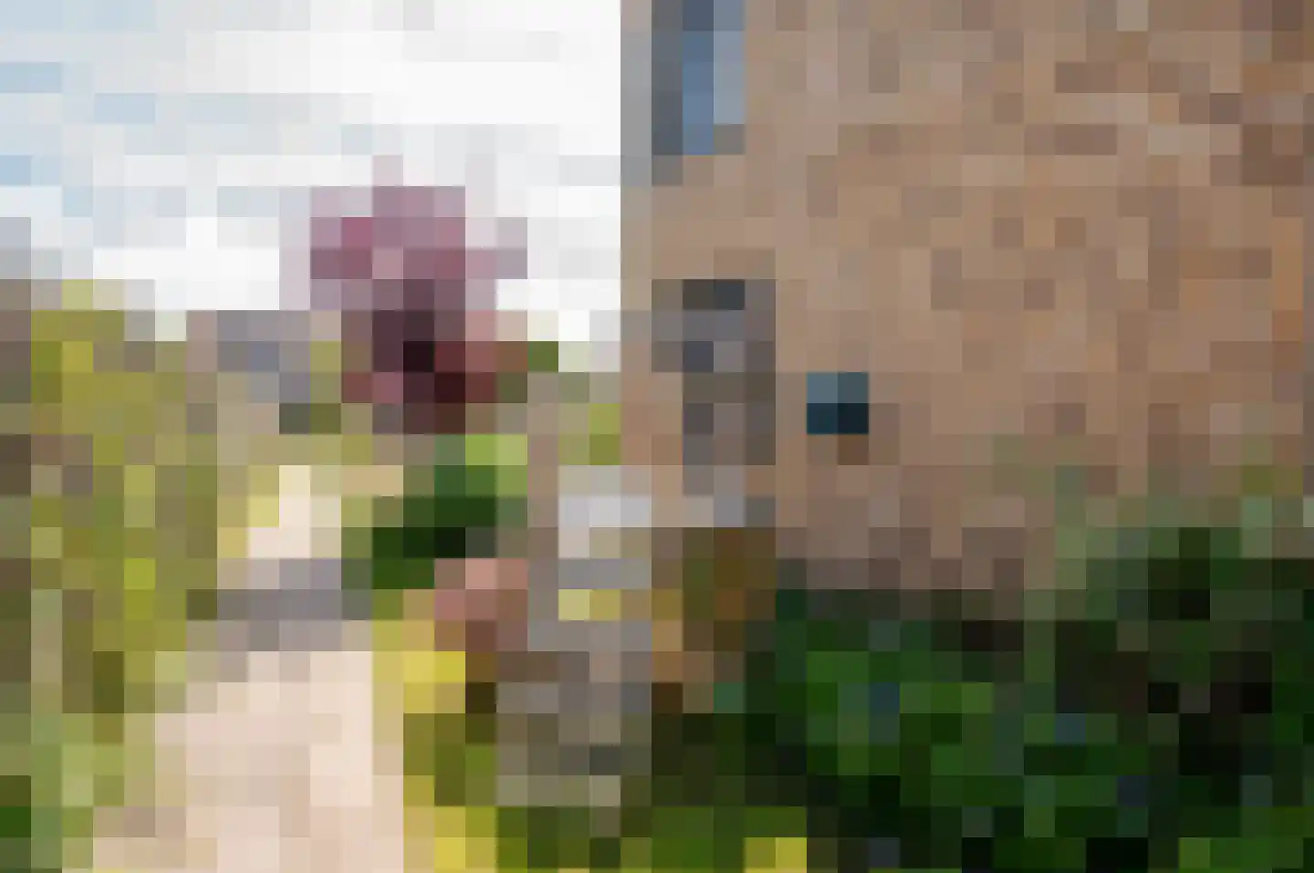 Fioringras 38 Lelystad thumbnail 36