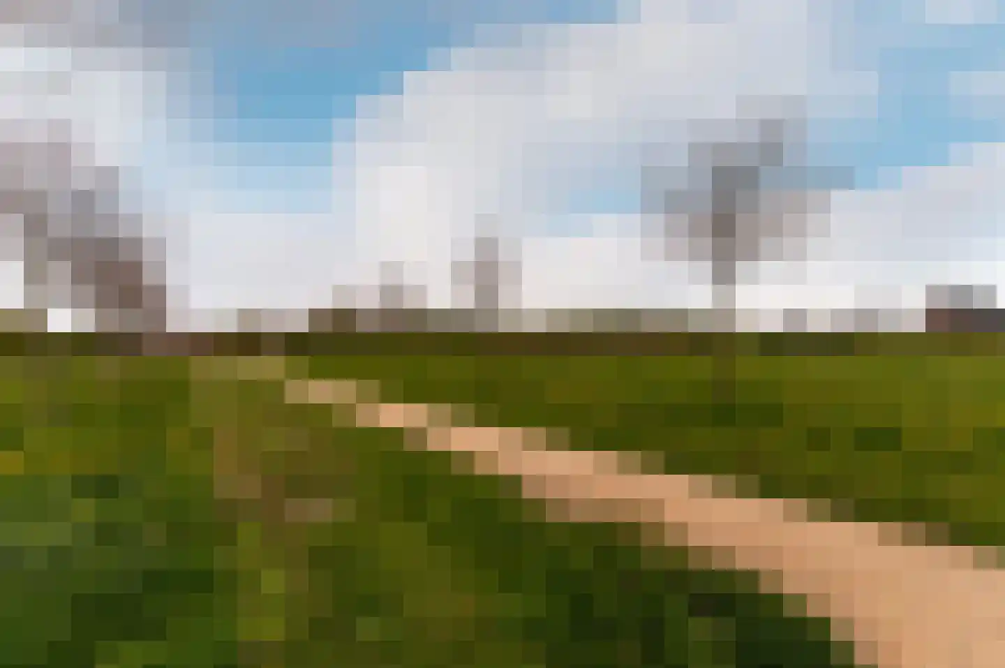 Fioringras 38 Lelystad thumbnail 39