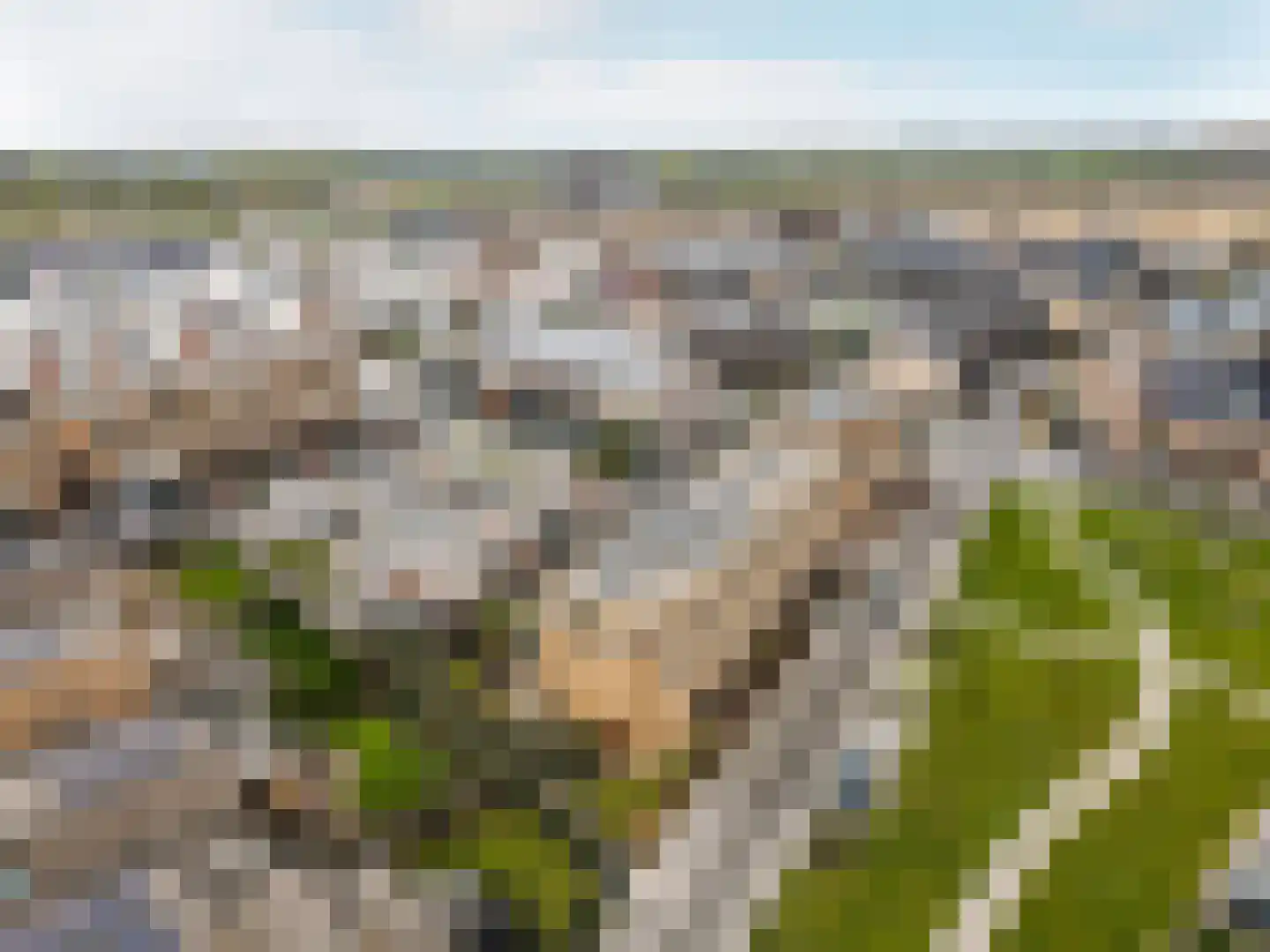 Fioringras 38 Lelystad thumbnail 40
