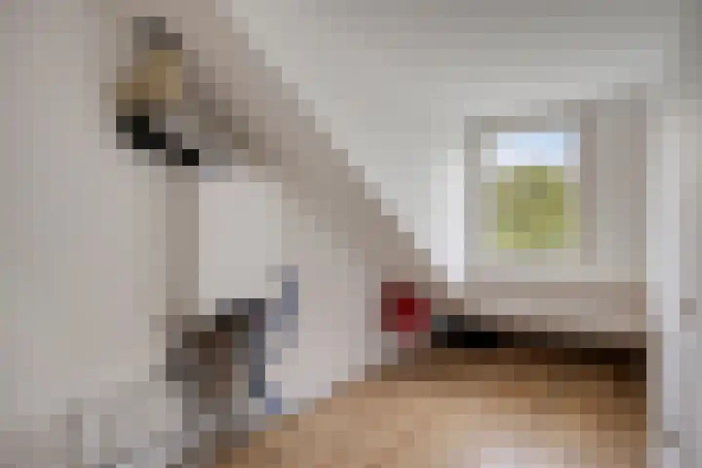 Fioringras 38 Rotterdam thumbnail 31
