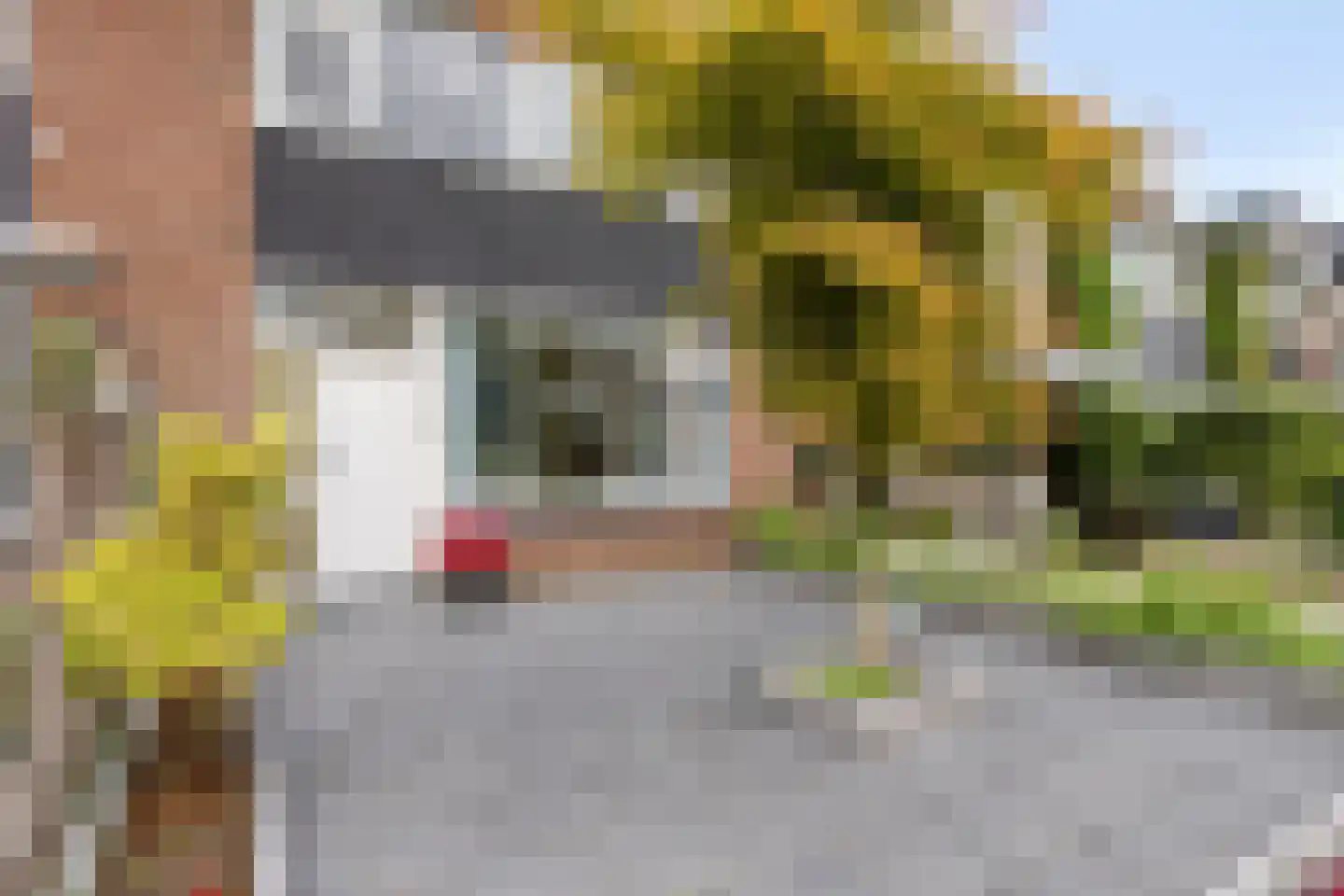 Fioringras 38 Rotterdam thumbnail 6
