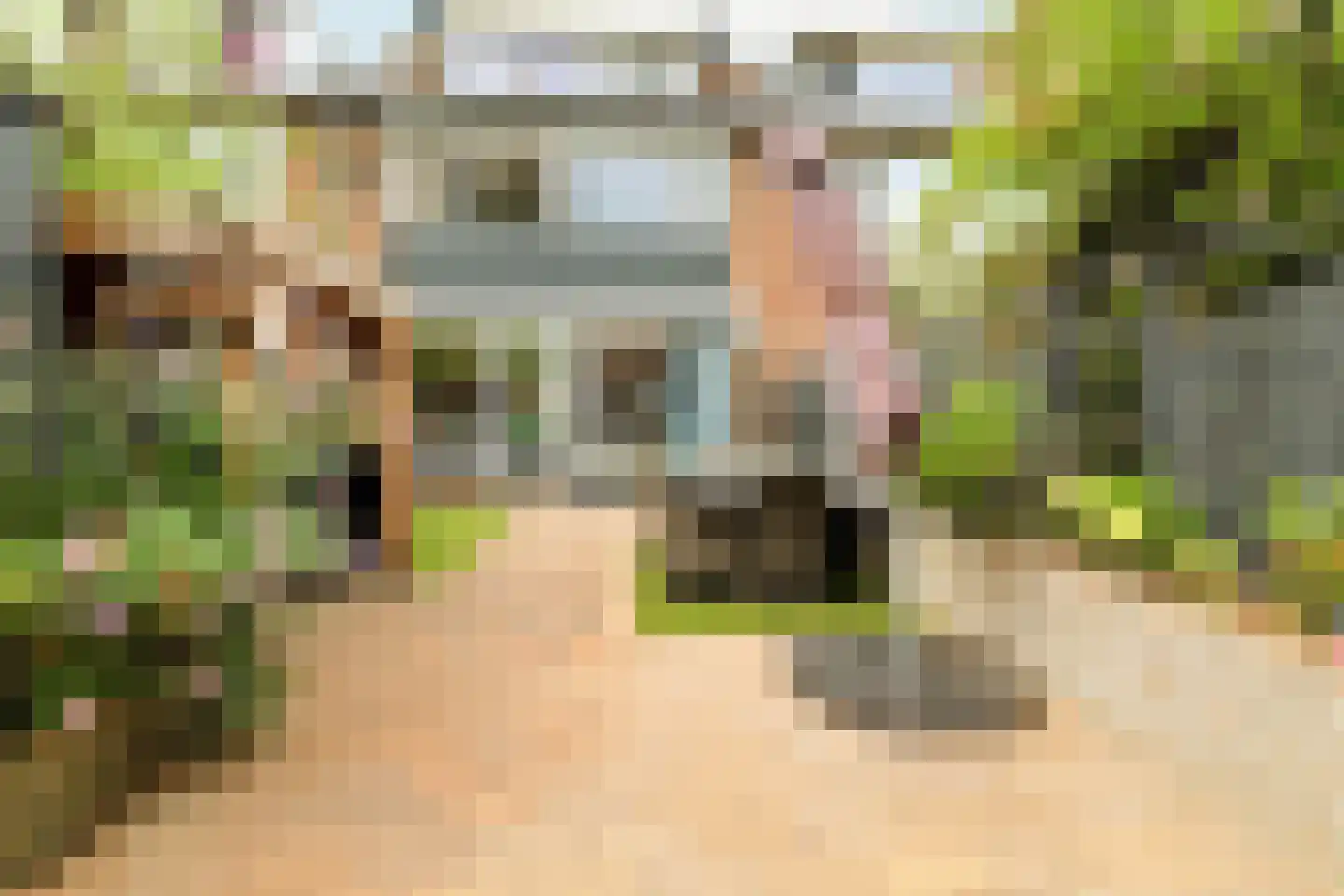 Fioringras 42 Rotterdam thumbnail 12
