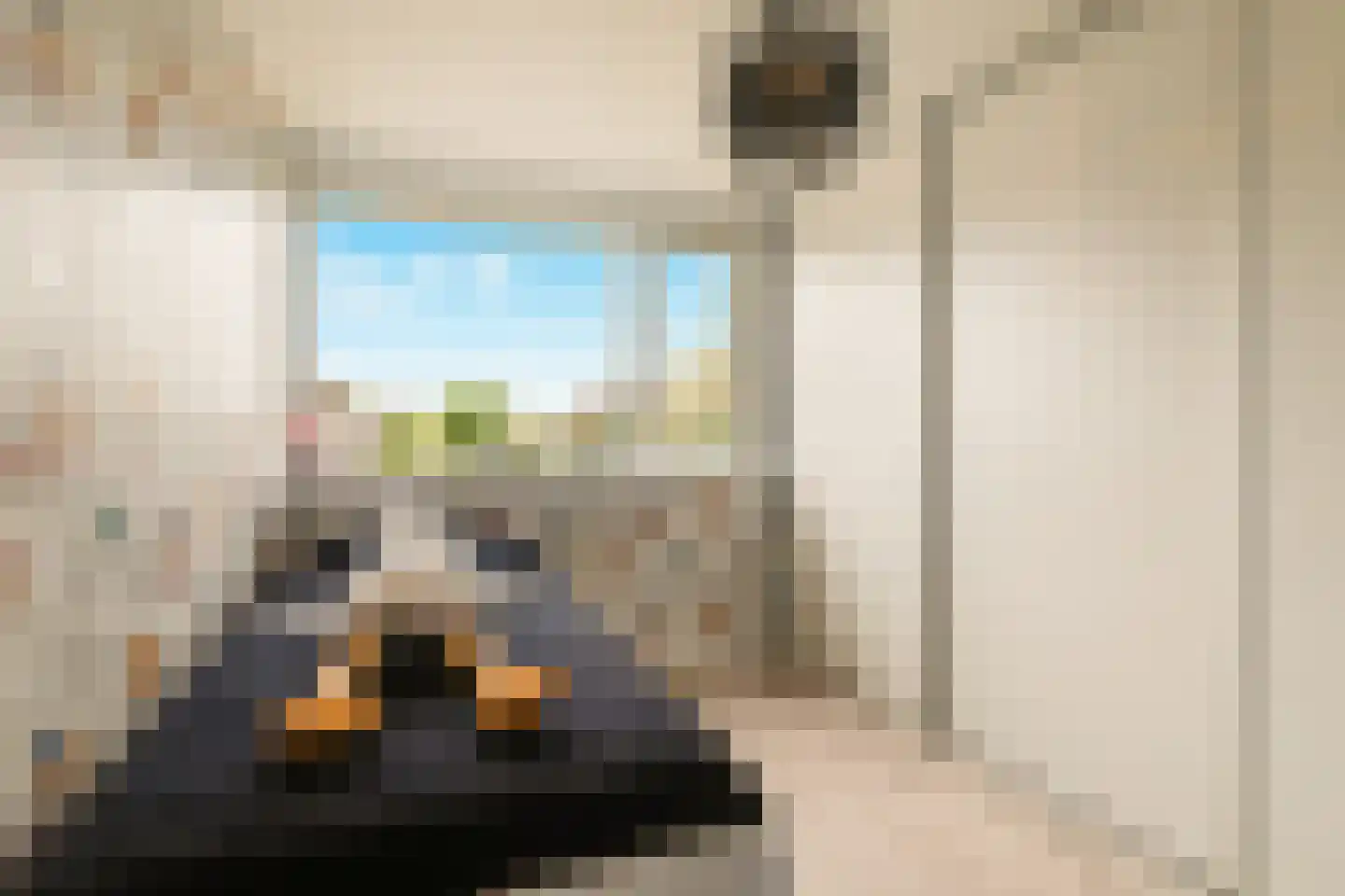 Fioringras 42 Rotterdam thumbnail 21