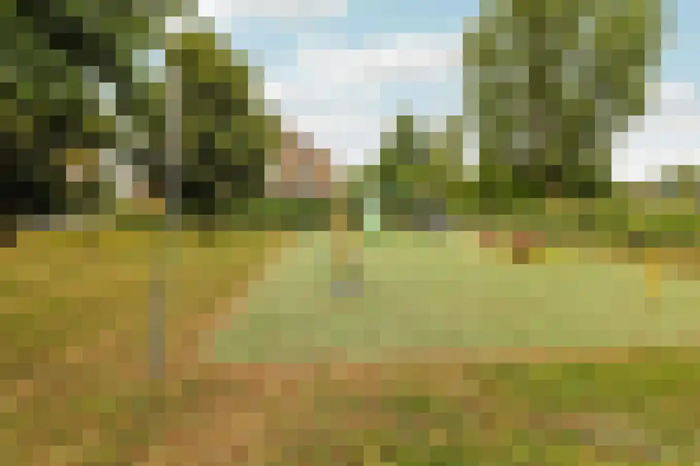 Fioringras 42 Rotterdam thumbnail 31