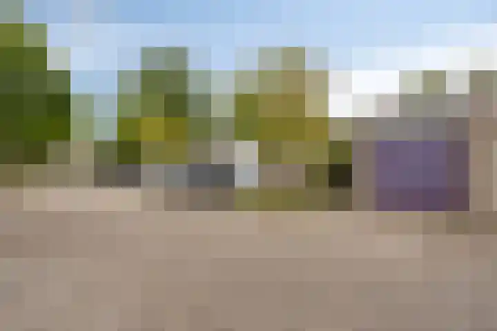 Fioringras 5 a Leeuwarden thumbnail 14