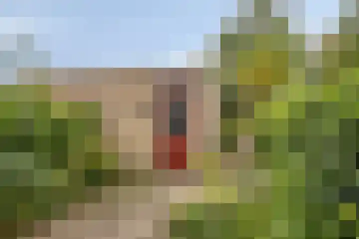 Fioringras 5 a Leeuwarden thumbnail 15