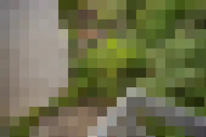 Fioringras 5 a Leeuwarden thumbnail 31