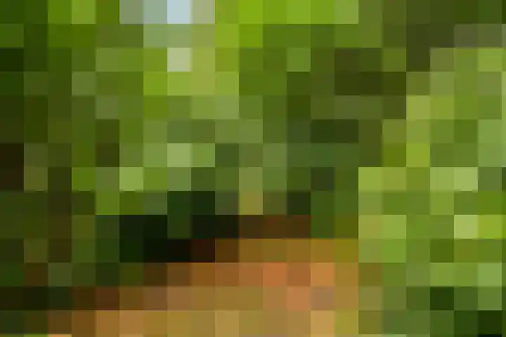 Fioringras 5 a Leeuwarden thumbnail 33