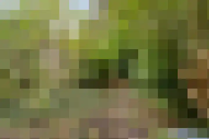 Fioringras 5 a Leeuwarden thumbnail 6