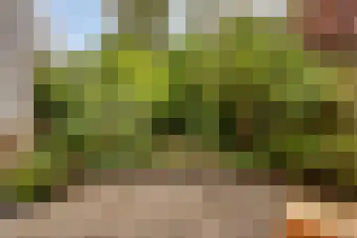 Fioringras 5 a Leeuwarden thumbnail 7