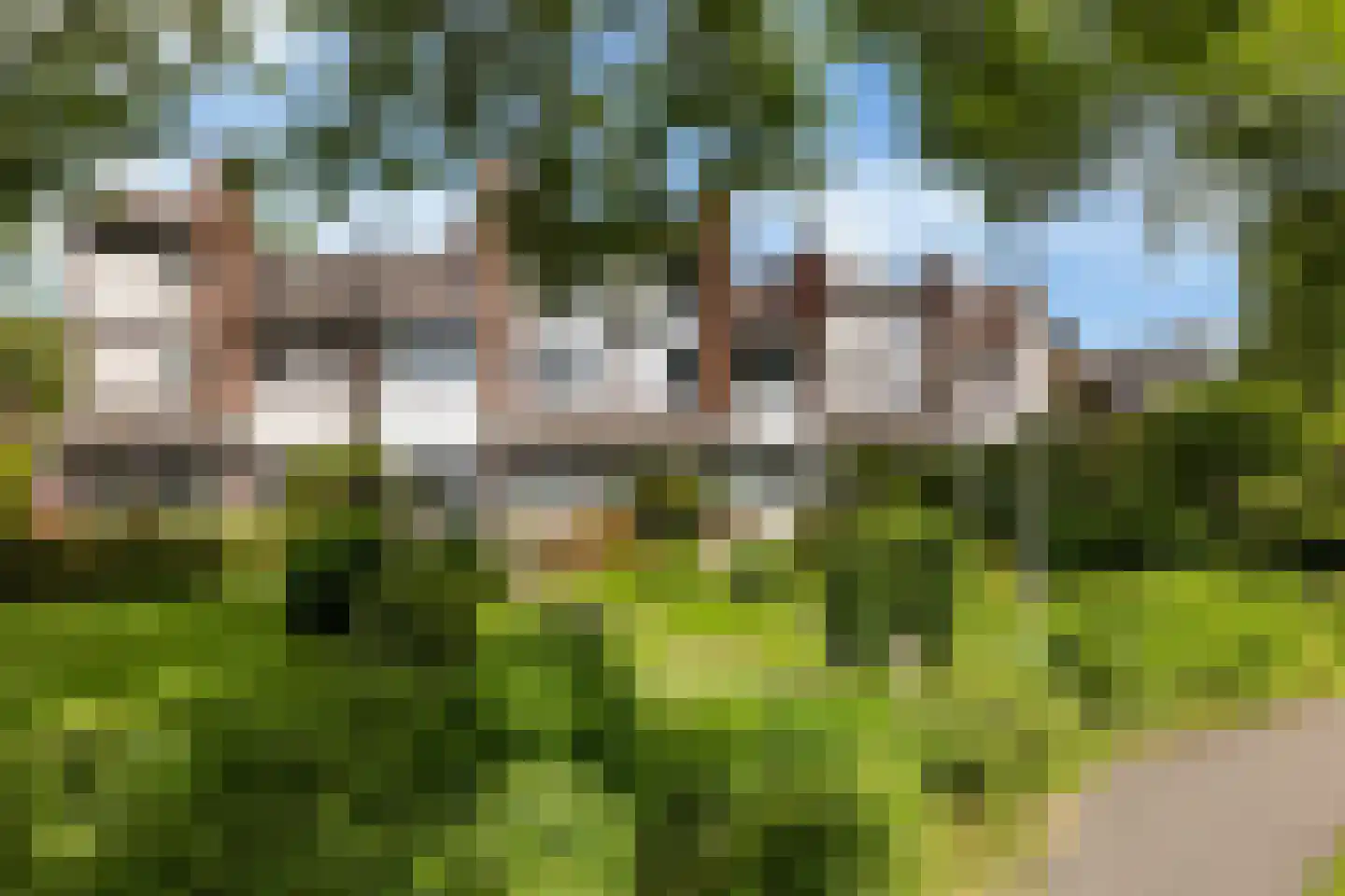 Fioringras 56 Leeuwarden thumbnail 17