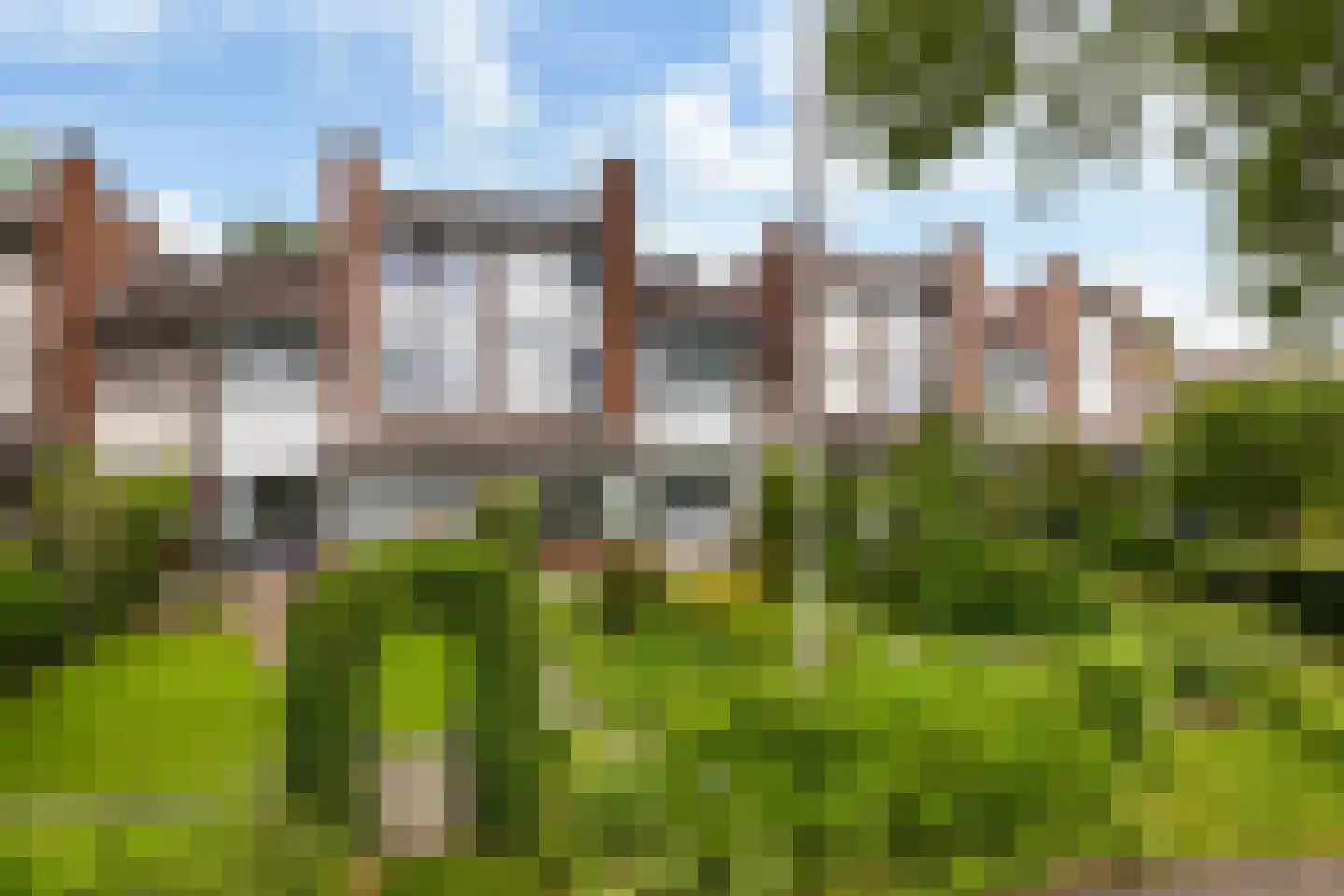 Fioringras 56 Leeuwarden thumbnail 20